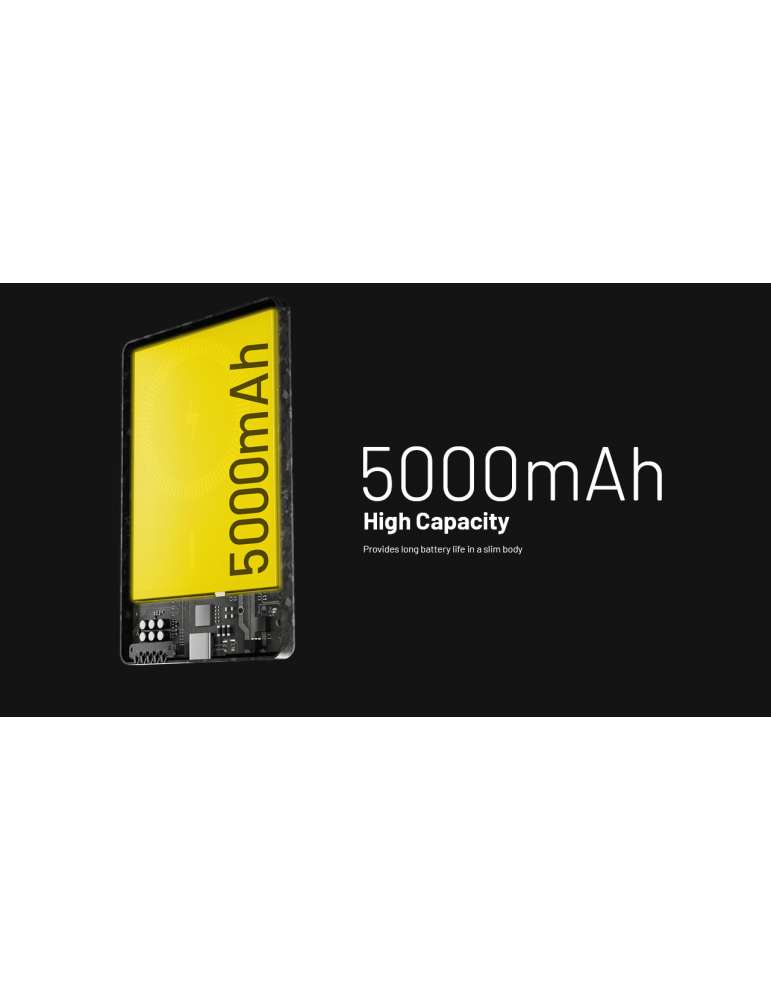 NW5000 battery 5000mAh magnetic wireless charging