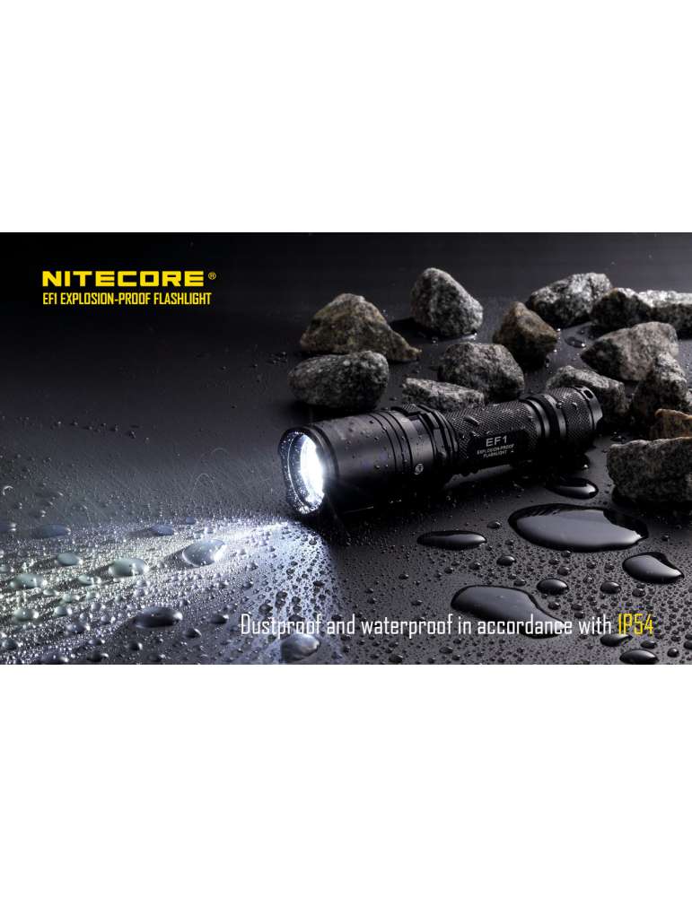 EF1 lampe de poche ATEX 830LM batterie inclue
