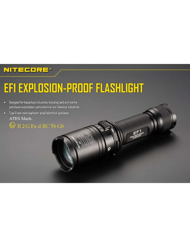 EF1 ATEX flashlight 830LM battery included