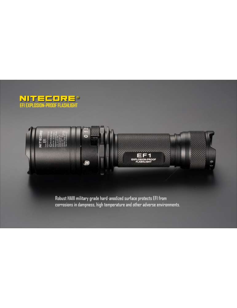 EF1 ATEX flashlight 830LM battery included