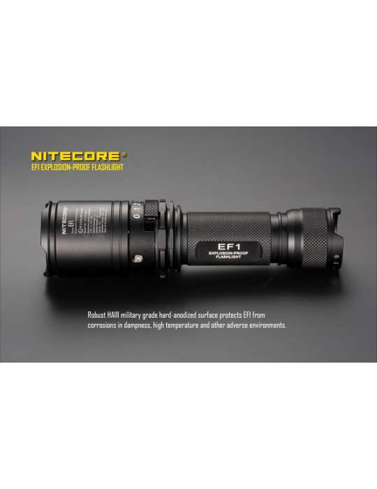 EF1 lampe de poche ATEX 830LM batterie inclue